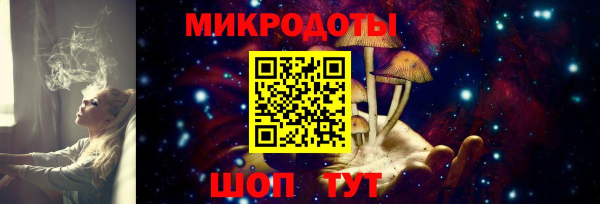 Ефремов  Псилоцибиновые грибы прущие грибы  Вход с VPN 